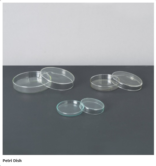 Petrischale, Glas, 120 mm.
